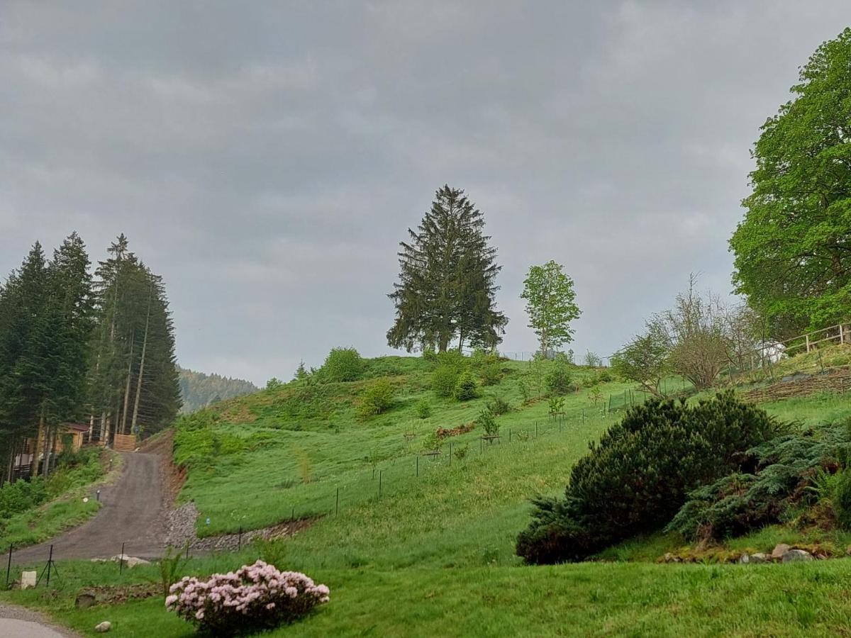 Le Refuge Perche Du Saut De La Bourrique Spa, Terrain Cloture Жерарме Екстер'єр фото