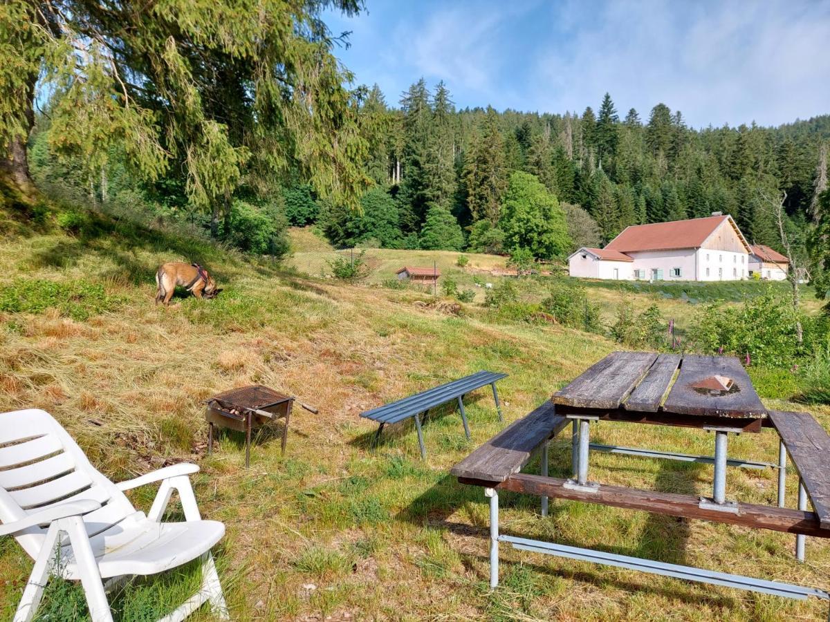 Le Refuge Perche Du Saut De La Bourrique Spa, Terrain Cloture Жерарме Екстер'єр фото